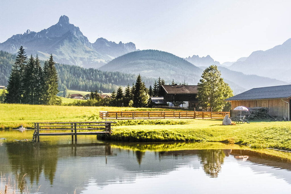 Naturteich am Bauernhofurlaub Mittersteghof in Filzmoos, Salzburger Land