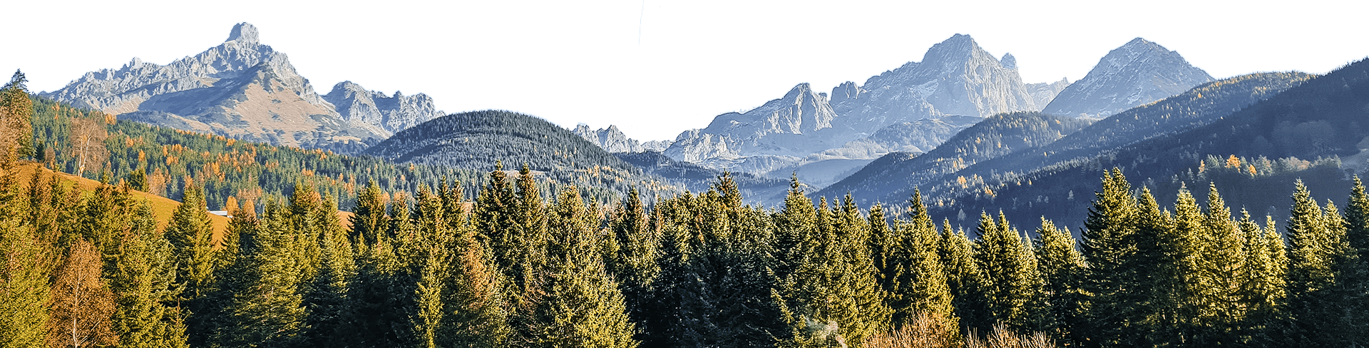 Berge in Filzmoos - Bauernhofurlaub Mittersteghof