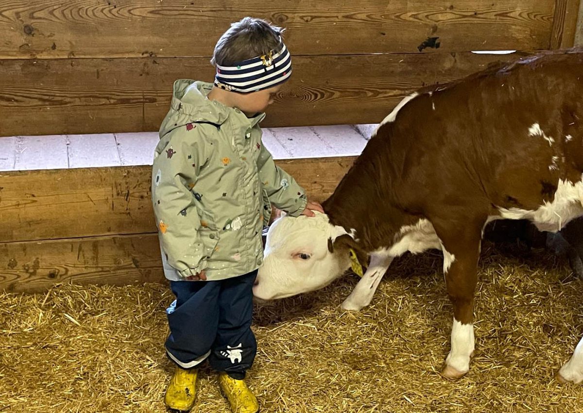 Kinder am Bauernhof - Urlaub am Bio-Bauernhof Mittersteghof Filzmoos, Österreich