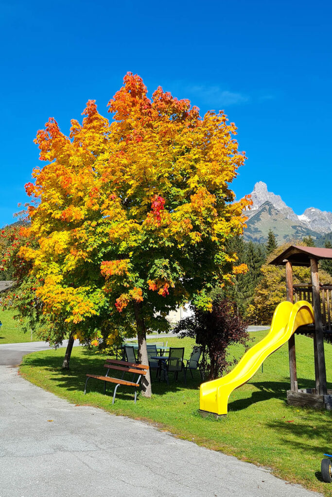 Ausblick vom Urlaub am Bio-Bauernhof Mittersteghof Filzmoos, Österreich