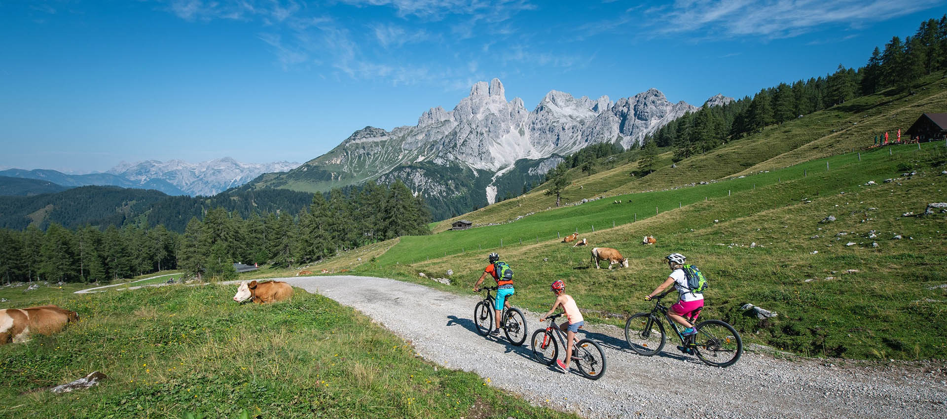 Mountainbiken & Rad Fahren in Filzmoos - Bauernhofurlaub Mittersteghof, Österreich