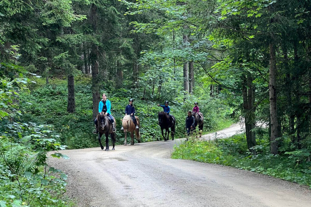 Reiten für Kinder - Urlaub am Bio-Bauernhof Mittersteghof Filzmoos, Österreich