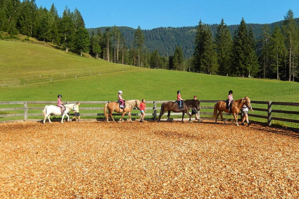 Reiten am Bauernhof - Urlaub am Bio-Bauernhof Mittersteghof Filzmoos, Österreich
