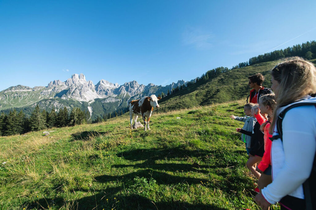 Wandern in den Bergen Filzmoos - Bauernhofurlaub Mittersteghof im Salzburger Land, Österreich