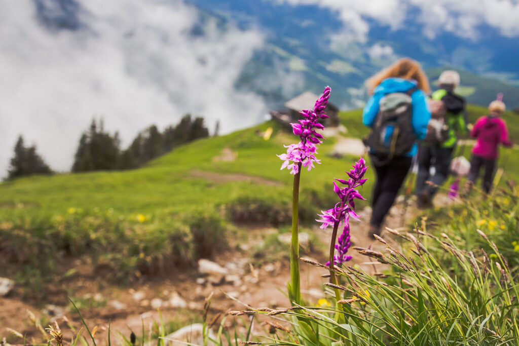 Wandern in den Bergen Filzmoos - Bauernhofurlaub Mittersteghof im Salzburger Land, Österreich